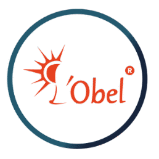 Logo - Lobel Green Energy